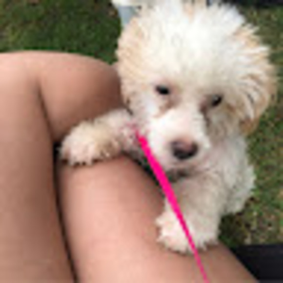 Meet your Posher, Camille - Picture 1 of 1